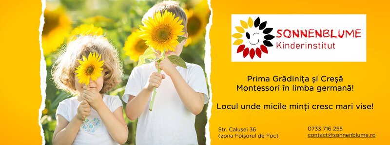 Sonnenblume Kinderinstitut - Gradinita, Cresa Montessori