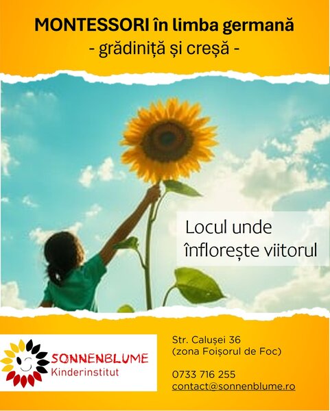 Sonnenblume Kinderinstitut - Gradinita, Cresa Montessori