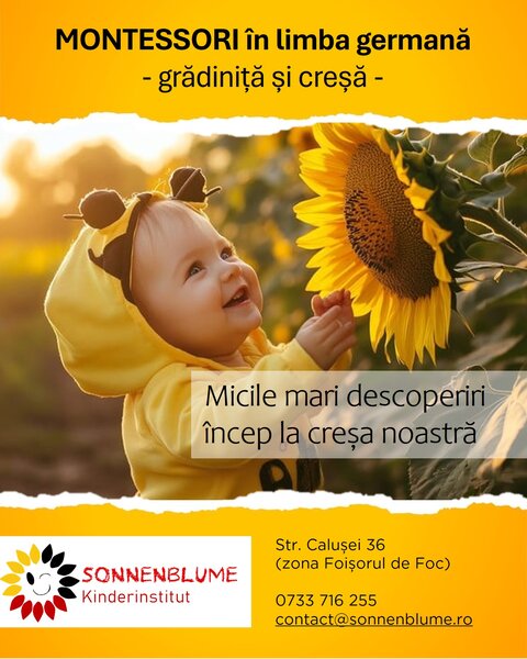 Sonnenblume Kinderinstitut - Gradinita, Cresa Montessori