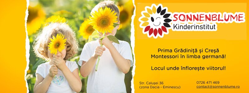 Sonnenblume Kinderinstitut - Gradinita, Cresa Montessori