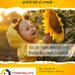 Sonnenblume Kinderinstitut - Gradinita, Cresa Montessori